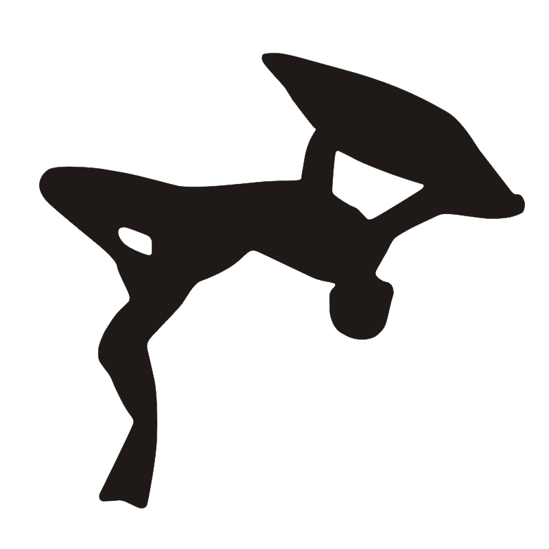 Bodyboarding Bodyboarder-pegat - Bodyboard Boogie Board reseña y precio